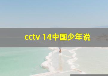 cctv 14中国少年说